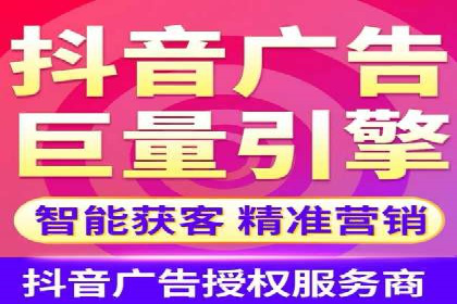 顶级SEM服务公司案例解析